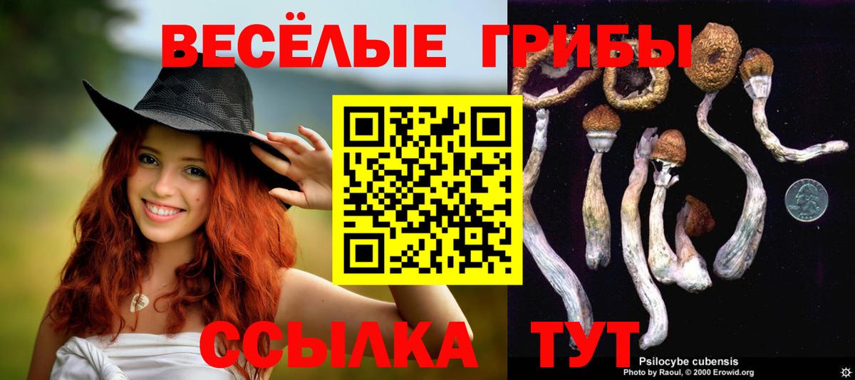Псилоцибиновые грибы Magic Shrooms Славянск-на-Кубани