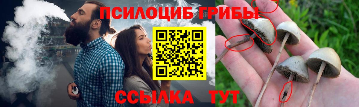 Галлюциногенные грибы Psilocybe  хочу   Славянск-на-Кубани  Вход с VPN 